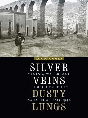 cover image of Silver Veins, Dusty Lungs